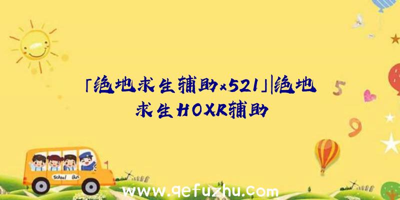 「绝地求生辅助x521」|绝地求生HOXR辅助